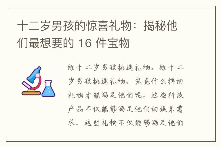 十二岁男孩的惊喜礼物：揭秘他们最想要的 16 件宝物