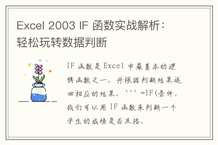 Excel 2003 IF 函数实战解析：轻松玩转数据判断