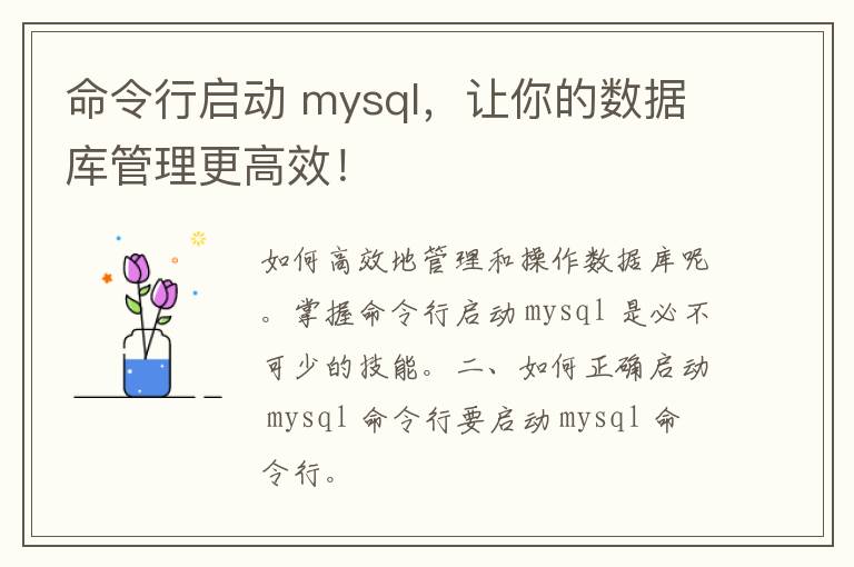 命令行启动 mysql，让你的数据库管理更高效！