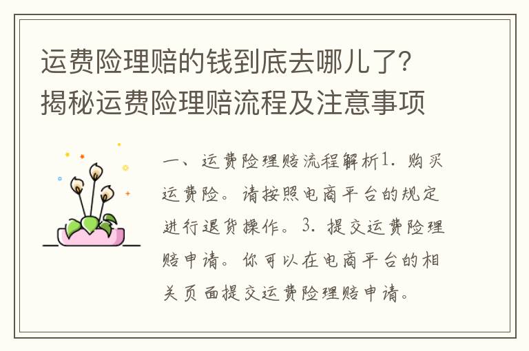 运费险理赔的钱到底去哪儿了？揭秘运费险理赔流程及注意事项