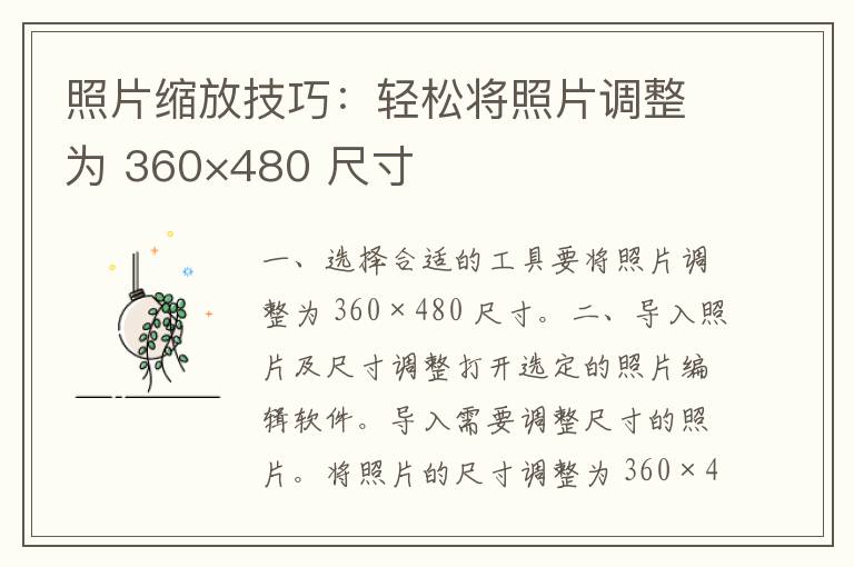 照片缩放技巧：轻松将照片调整为 360×480 尺寸