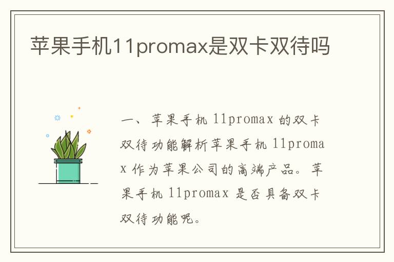 苹果手机11promax是双卡双待吗