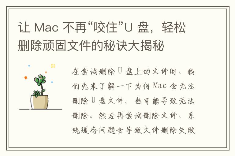 让 Mac 不再“咬住”U 盘，轻松删除顽固文件的秘诀大揭秘