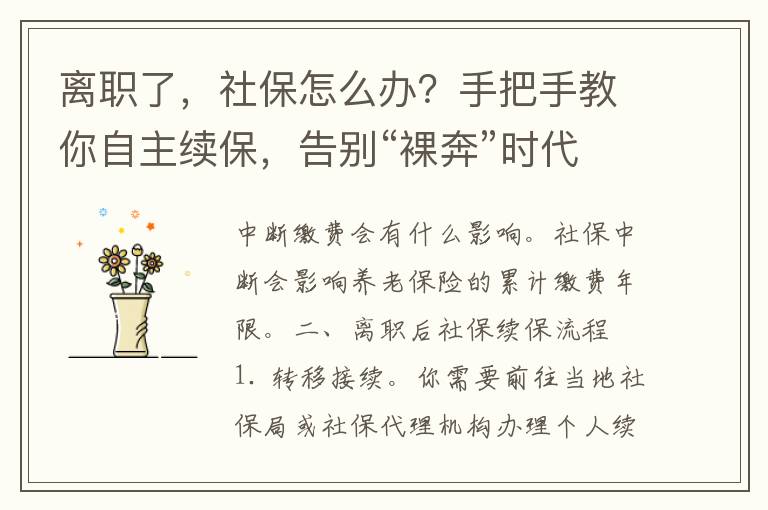 离职了，社保怎么办？手把手教你自主续保，告别“裸奔”时代！