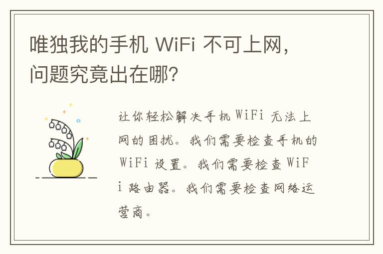 唯独我的手机 WiFi 不可上网，问题究竟出在哪？