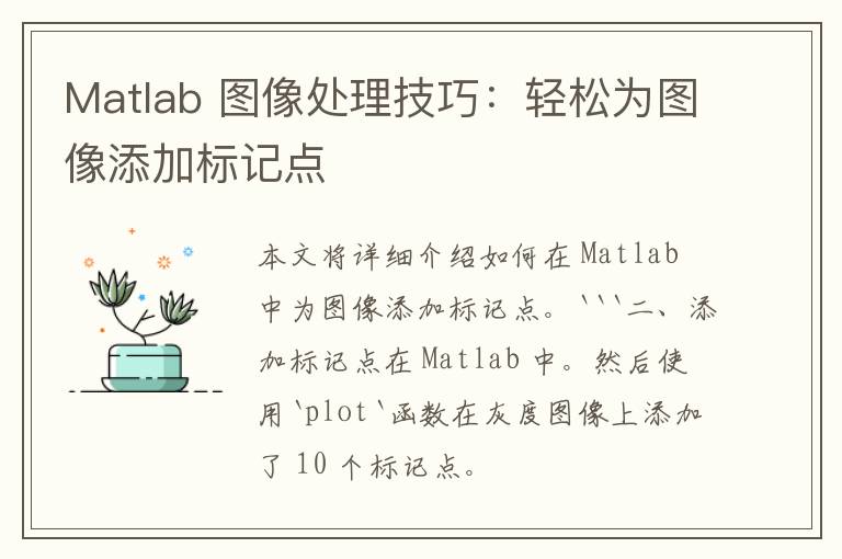 Matlab 图像处理技巧：轻松为图像添加标记点