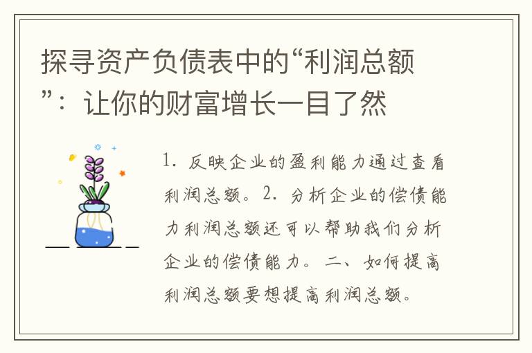 探寻资产负债表中的“利润总额”：让你的财富增长一目了然