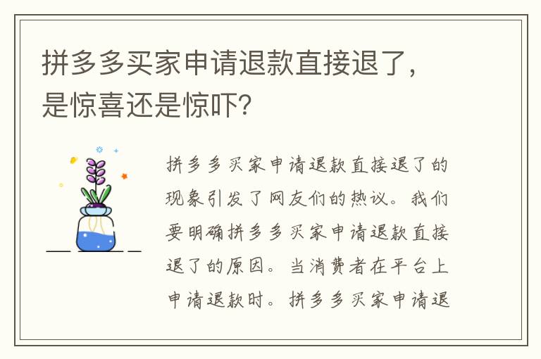 拼多多买家申请退款直接退了，是惊喜还是惊吓？