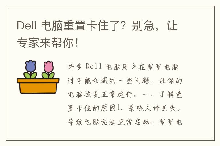 Dell 电脑重置卡住了？别急，让专家来帮你！