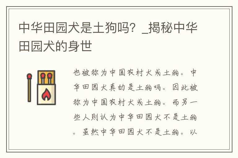 中华田园犬是土狗吗？_揭秘中华田园犬的身世