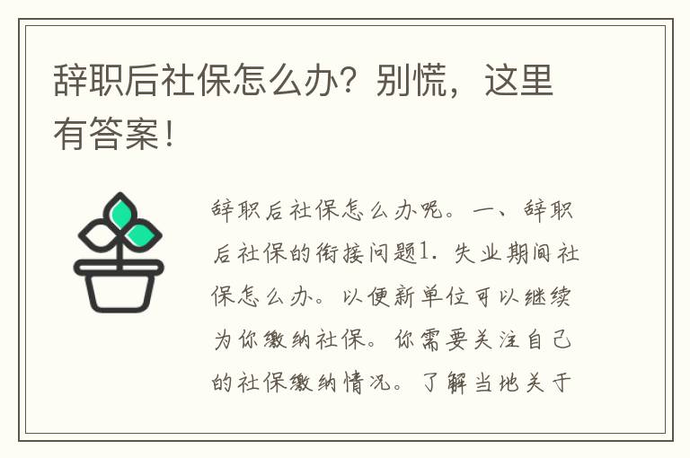 辞职后社保怎么办？别慌，这里有答案！