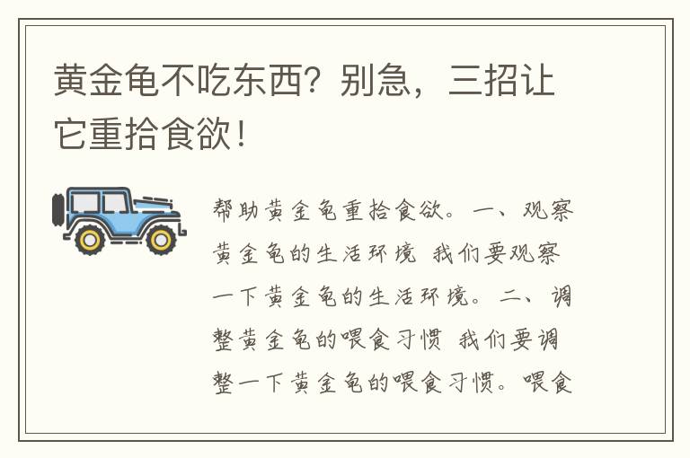 黄金龟不吃东西？别急，三招让它重拾食欲！