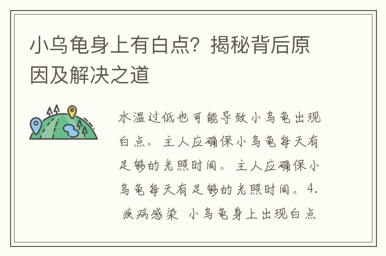 小乌龟身上有白点？揭秘背后原因及解决之道