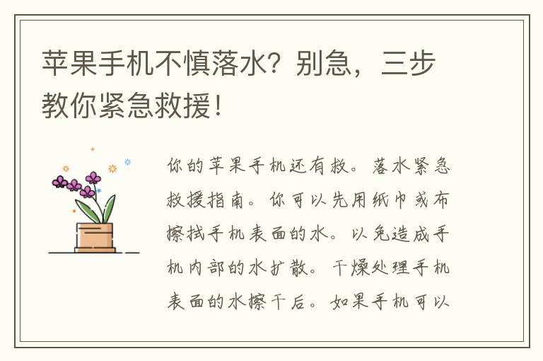 苹果手机不慎落水？别急，三步教你紧急救援！