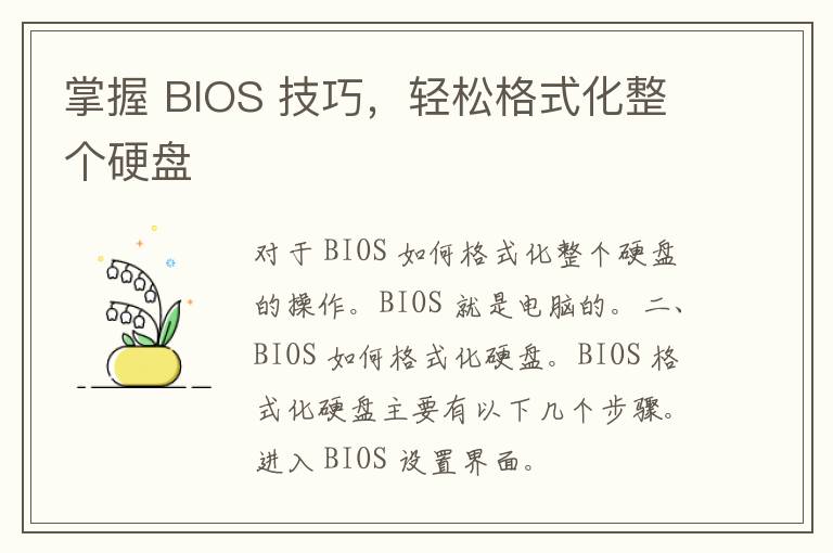 掌握 BIOS 技巧，轻松格式化整个硬盘