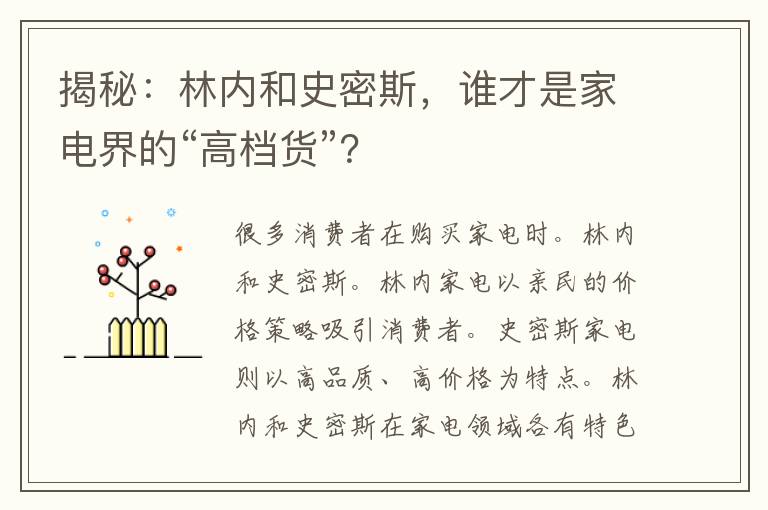 揭秘：林内和史密斯，谁才是家电界的“高档货”？