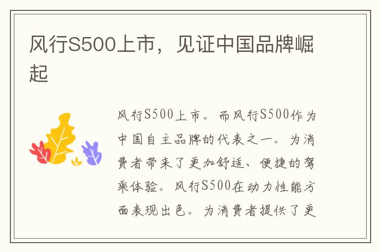 风行S500上市，见证中国品牌崛起