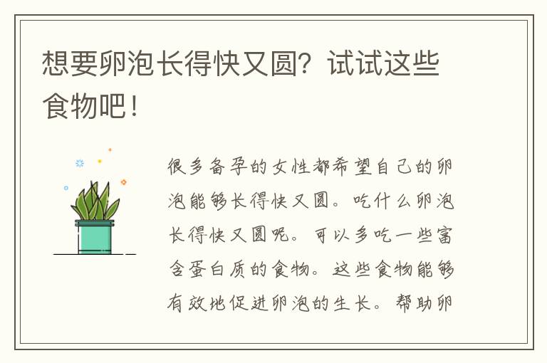 想要卵泡长得快又圆？试试这些食物吧！