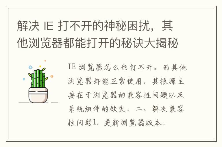 解决 IE 打不开的神秘困扰，其他浏览器都能打开的秘诀大揭秘