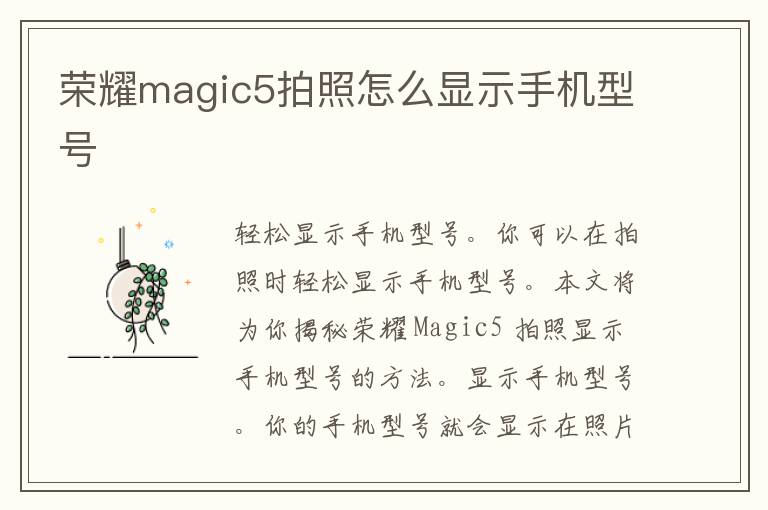 荣耀magic5拍照怎么显示手机型号