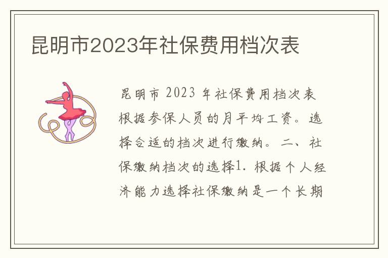 昆明市2023年社保费用档次表