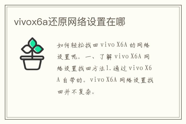 vivox6a还原网络设置在哪