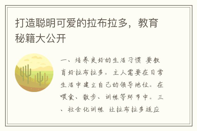 打造聪明可爱的拉布拉多，教育秘籍大公开