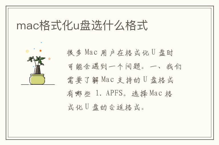 mac格式化u盘选什么格式