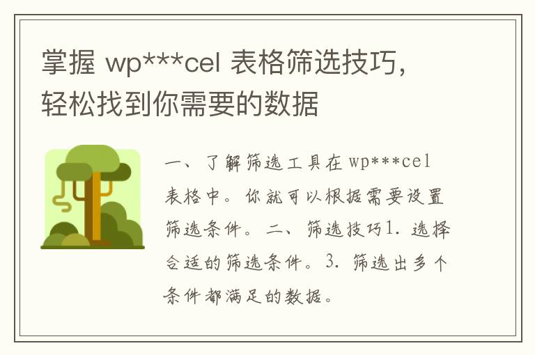 掌握 wp***cel 表格筛选技巧，轻松找到你需要的数据