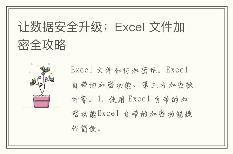 让数据安全升级：Excel 文件加密全攻略