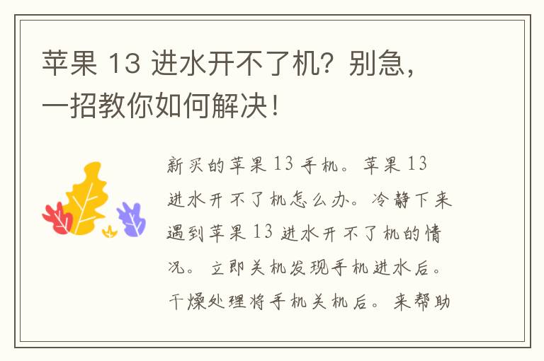 苹果 13 进水开不了机？别急，一招教你如何解决！