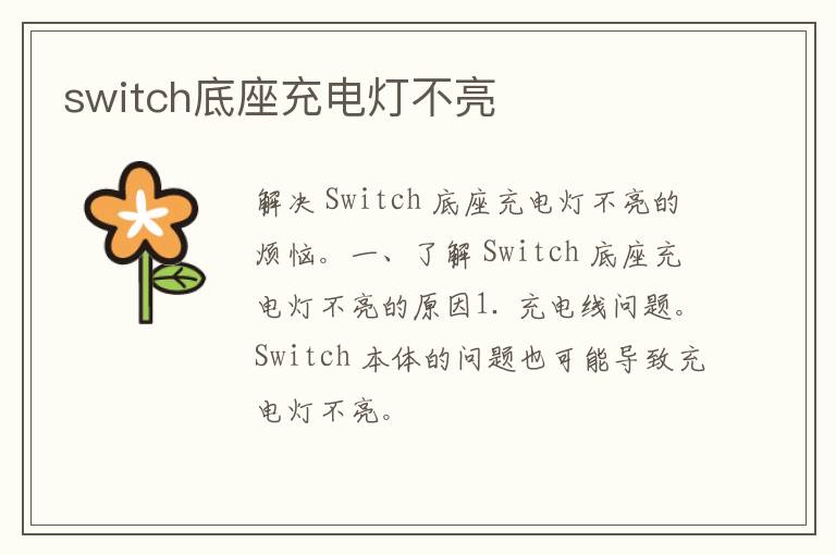 switch底座充电灯不亮