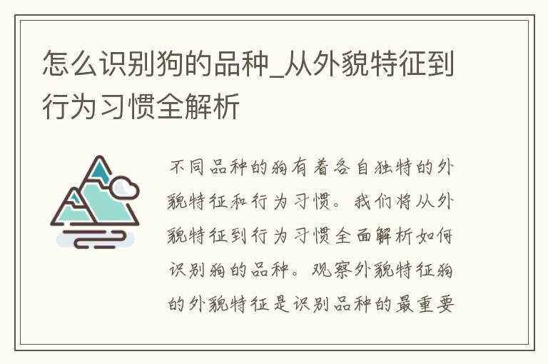 怎么识别狗的品种_从外貌特征到行为习惯全解析