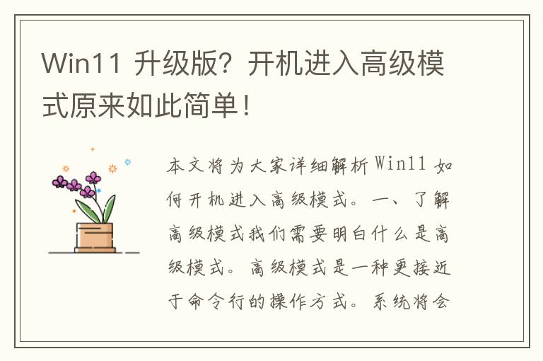 Win11 升级版？开机进入高级模式原来如此简单！