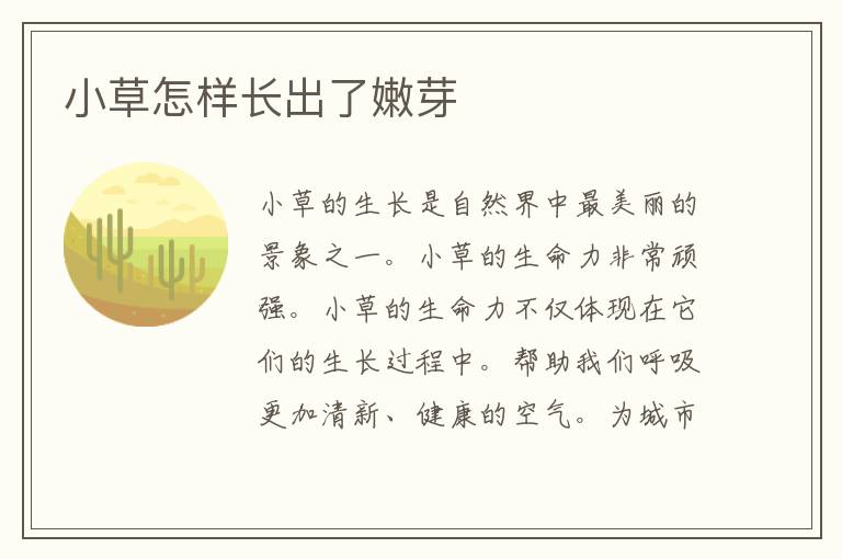 小草怎样长出了嫩芽