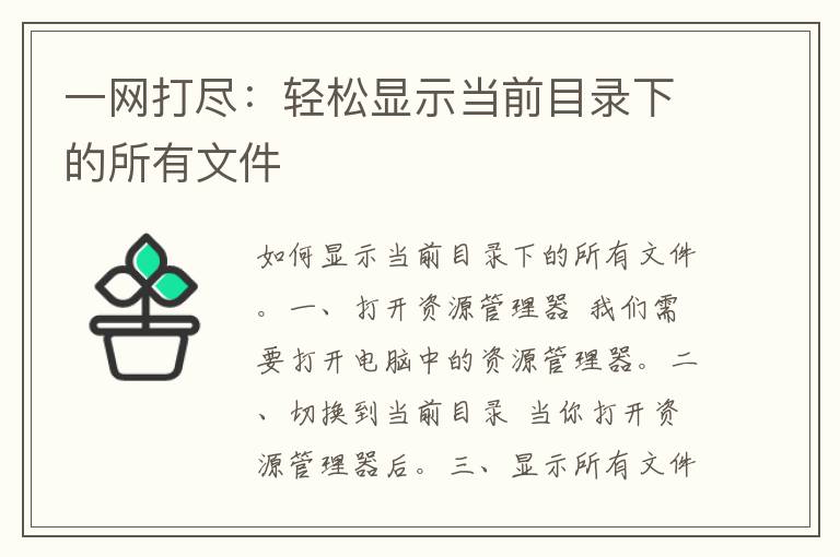 一网打尽：轻松显示当前目录下的所有文件