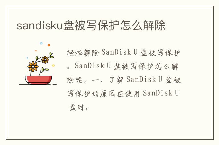 sandisku盘被写保护怎么解除