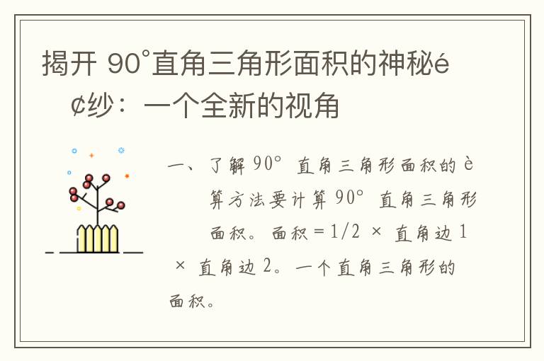 揭开 90°直角三角形面积的神秘面纱：一个全新的视角