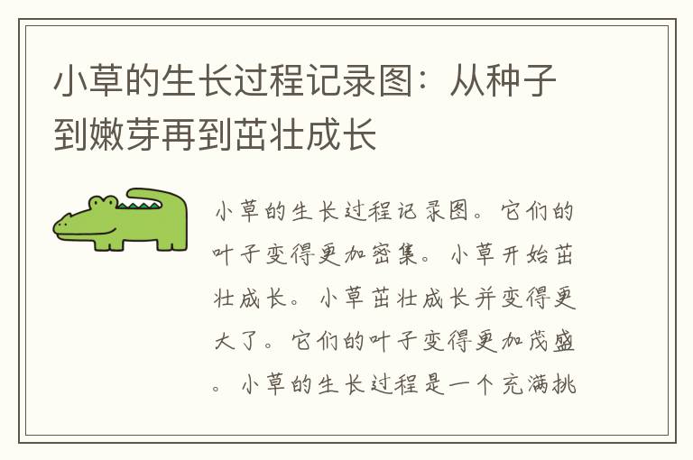 小草的生长过程记录图：从种子到嫩芽再到茁壮成长