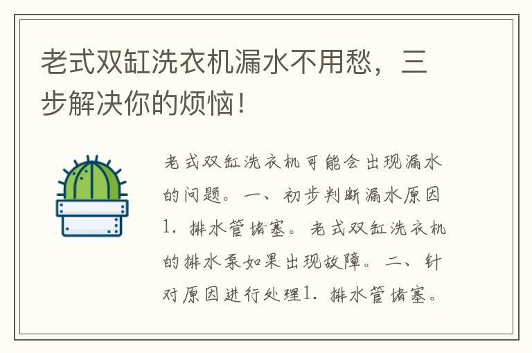 老式双缸洗衣机漏水不用愁，三步解决你的烦恼！