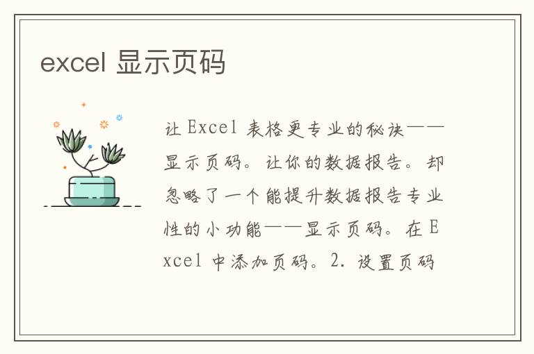 excel 显示页码