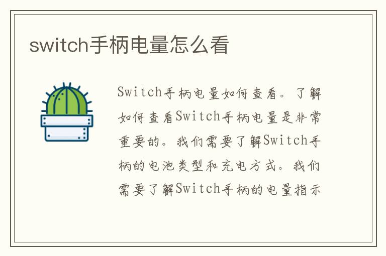 switch手柄电量怎么看