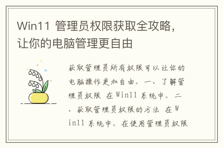 Win11 管理员权限获取全攻略，让你的电脑管理更自由