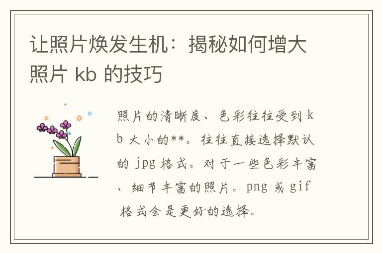 让照片焕发生机：揭秘如何增大照片 kb 的技巧