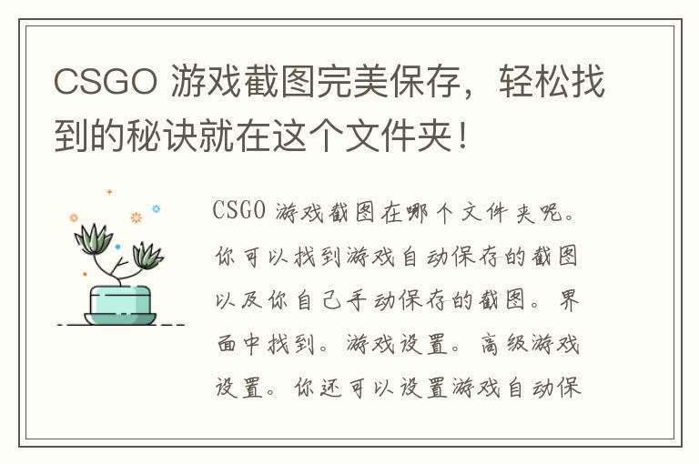 CSGO 游戏截图完美保存，轻松找到的秘诀就在这个文件夹！