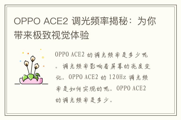 OPPO ACE2 调光频率揭秘：为你带来极致视觉体验